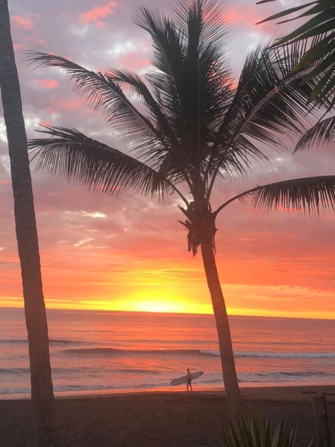 The Backyard Beachfront Hotel Jaco Bagian luar foto