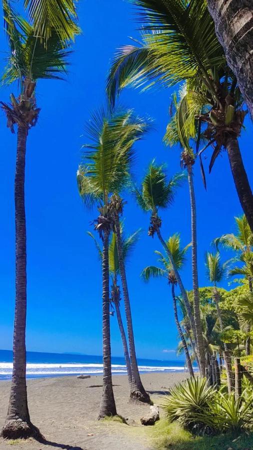 The Backyard Beachfront Hotel Jaco Bagian luar foto
